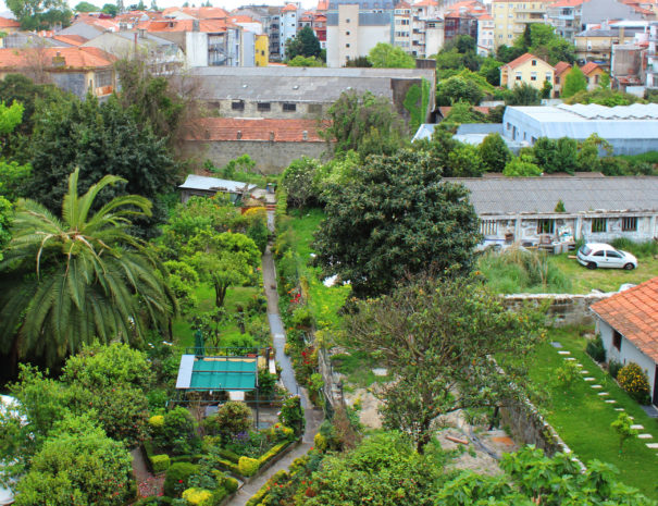 vista traseira 2017